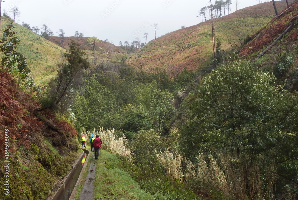 Madeira, Portugalia - wycieczka levadą w okolicach Ponta do Pargo