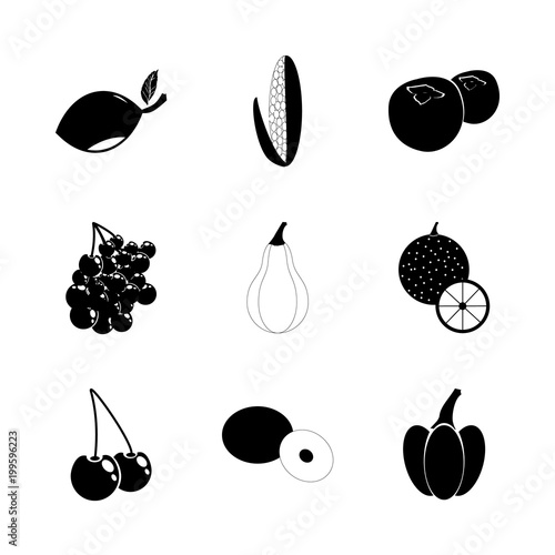 icon Fruits And Vegetables with cherry, maize, apricot, citus and orange