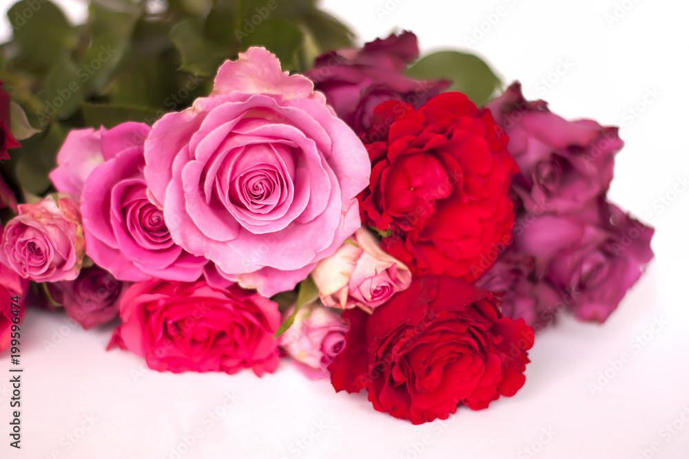 Beautiful bouquet of pink and red rose flowers on white background. Beautiful bouquet of pink and red rose flowers on white background.
