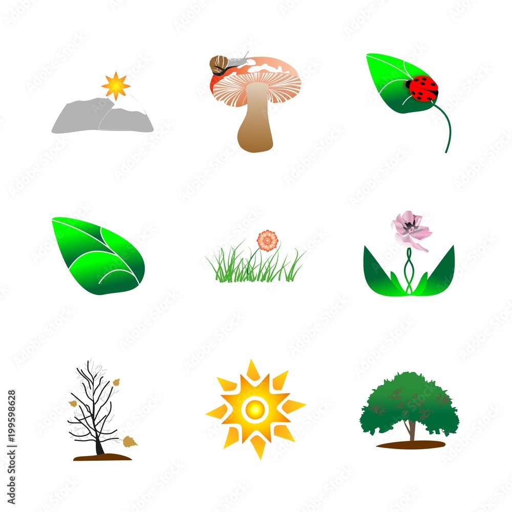 icon Nature with season, beach , fair-mushroom, leaf and autumn icon Nature with season, beach , fair-mushroom, leaf and autumn
