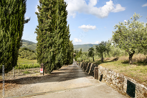 Summer road background in tuscany 