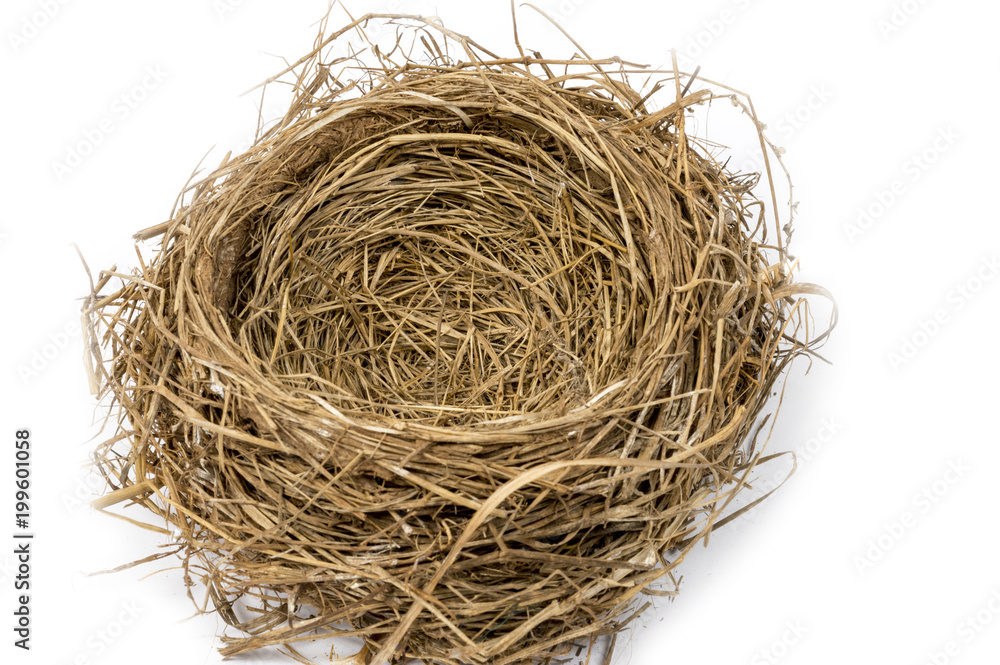 Horizontal shot of an Empty Bird's Nest on a White Background With Shadow. Horizontal shot of an Empty Bird's Nest on a White Background With Shadow.