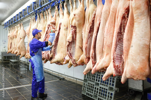 Butcher cutting pork  at the meat manufacturing. photo