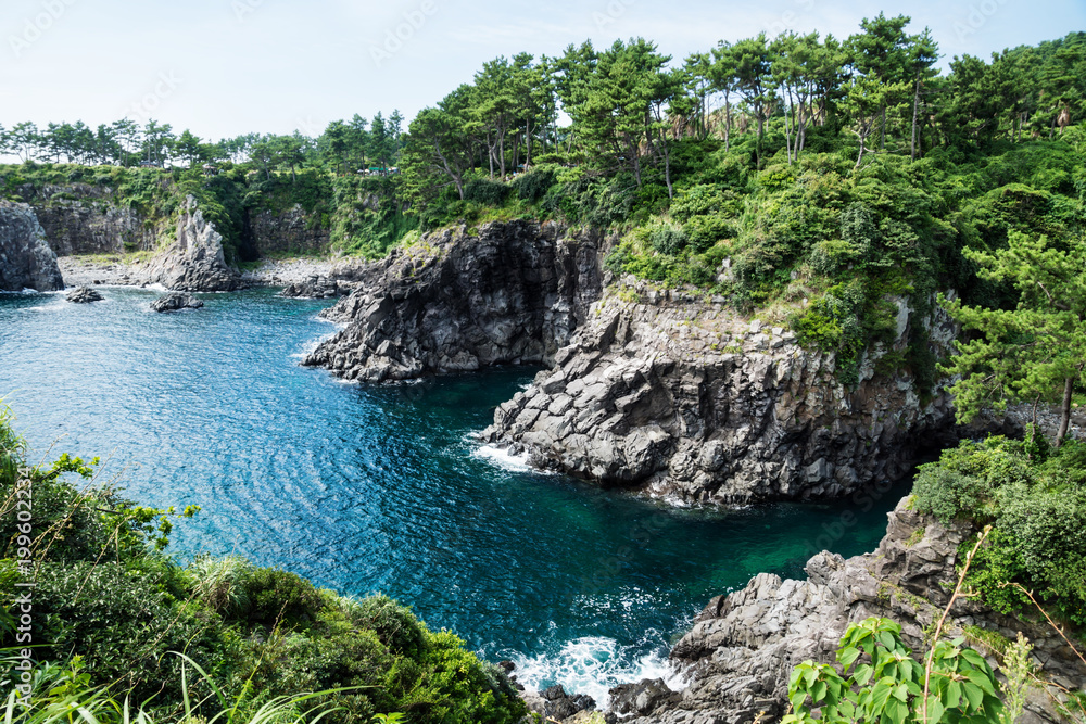 Cliffs surrounded by forest along the coastline of Seogwipo, Jeju Island, Korea