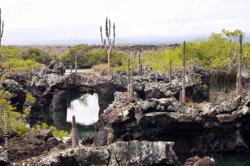 Los Tuneles in Galapagos Islands