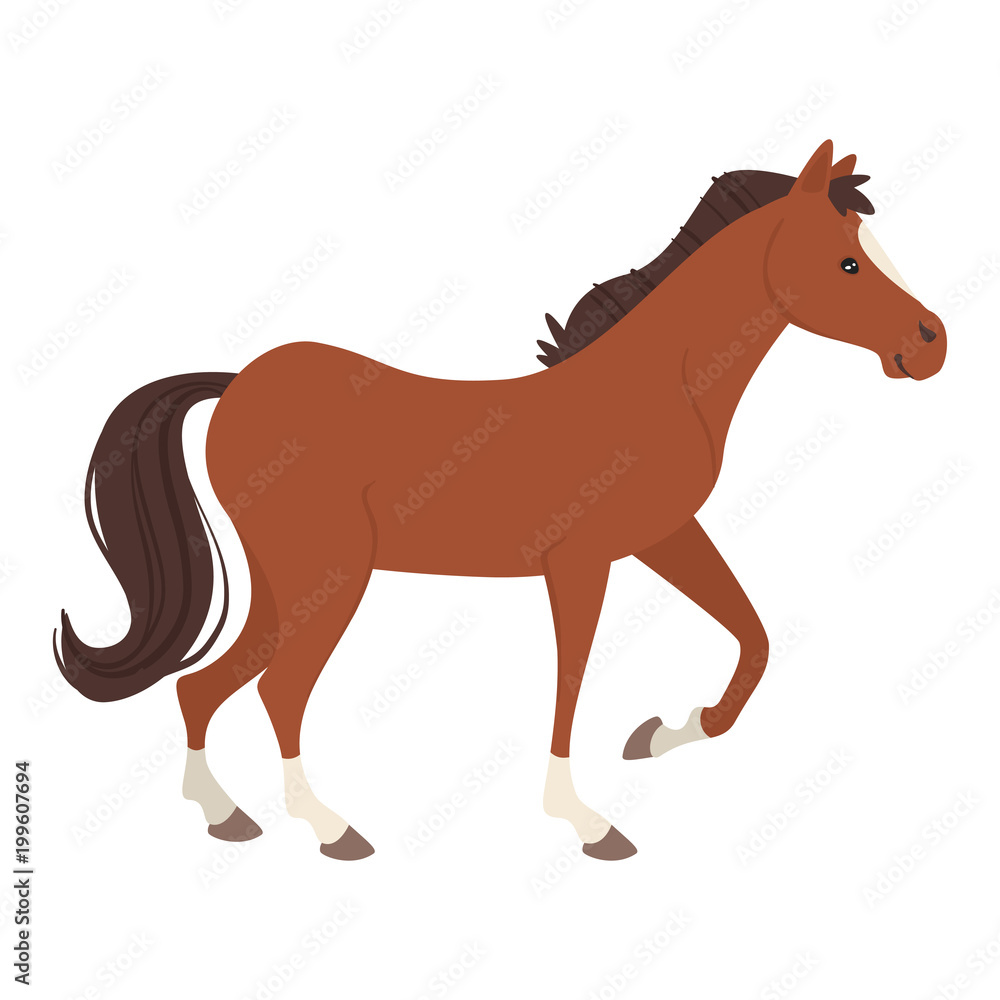 farm animal - horse farm animal - horse