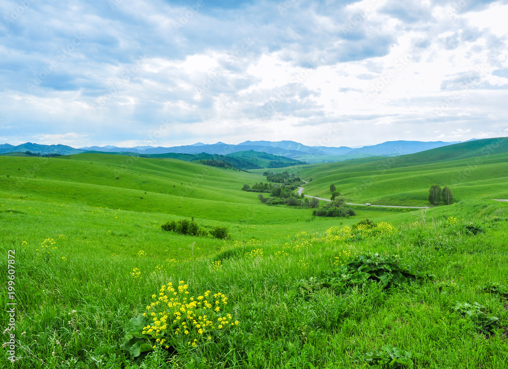 Green meadow and forest against the mountains. Altai, Russia.