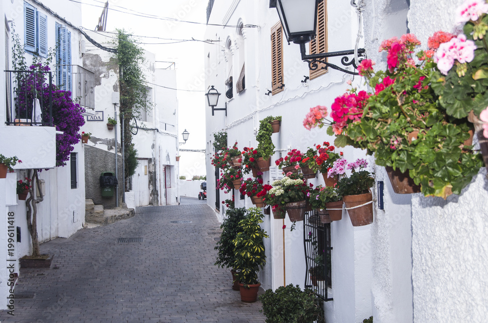  typical andalusian street with flowerpots in Spain
