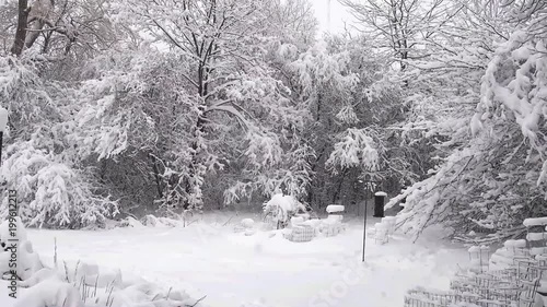 Wallpaper Mural Backyard with woods after winter snowfall Torontodigital.ca