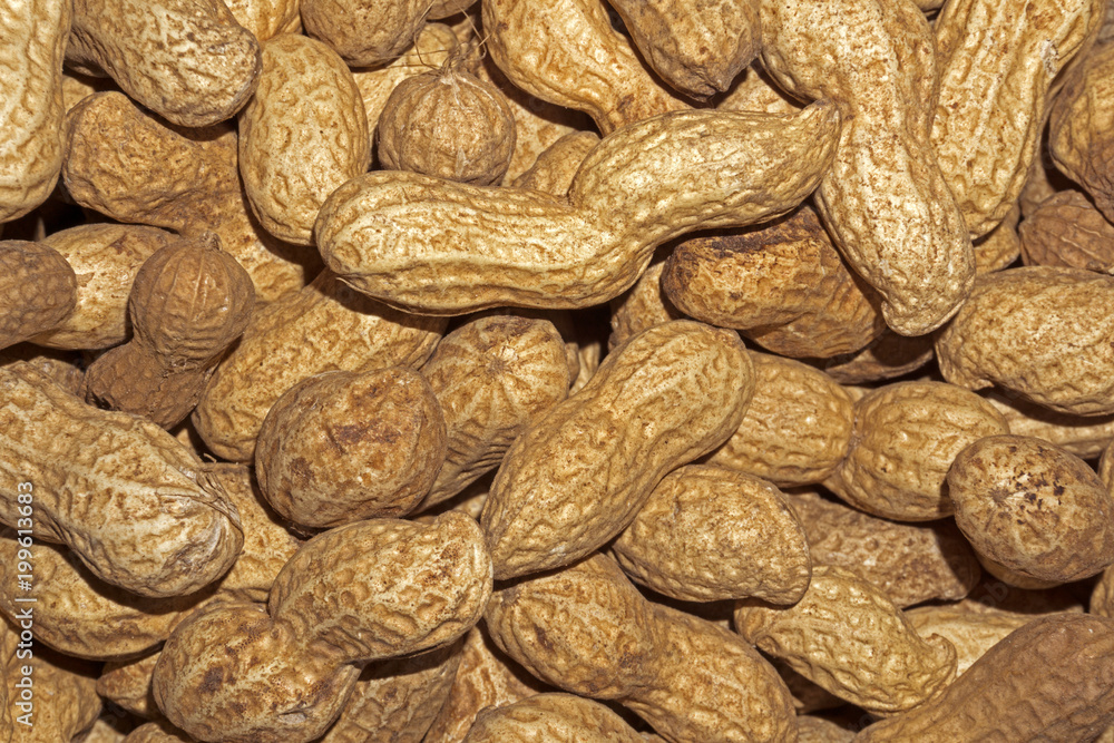 background - ripe uncooked inshell peanuts closeup background - ripe uncooked inshell peanuts closeup