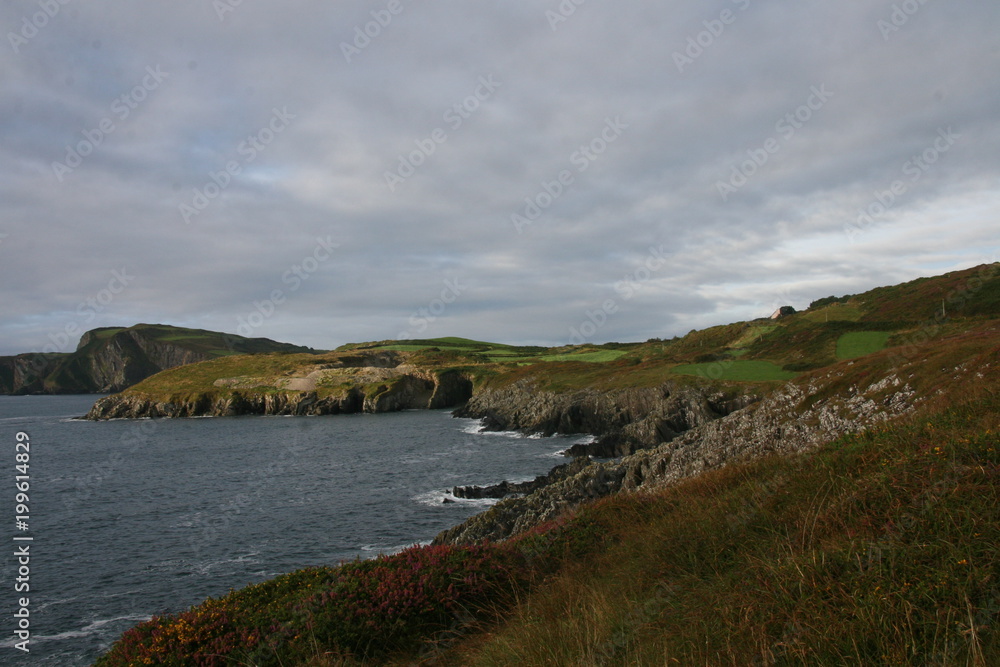 Obraz premium Südküste Irlands