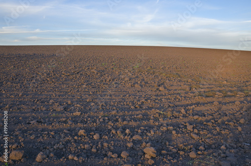 Empty plowed field at sunset on a background of blue sky.