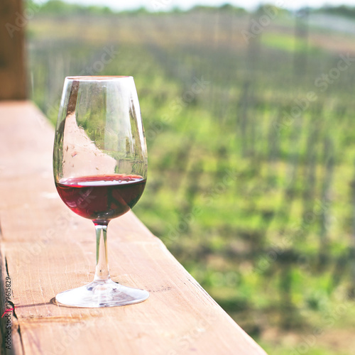A glass of red wine against a background of vineyards.