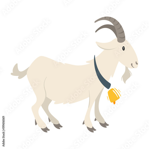  farm animal - goat