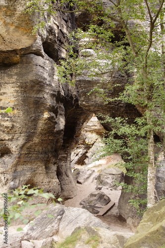 Green trees next to rock mountain.