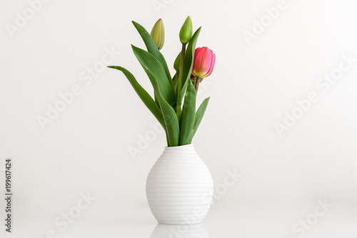 Tulpen in weisser Vase isoliert auf wei  