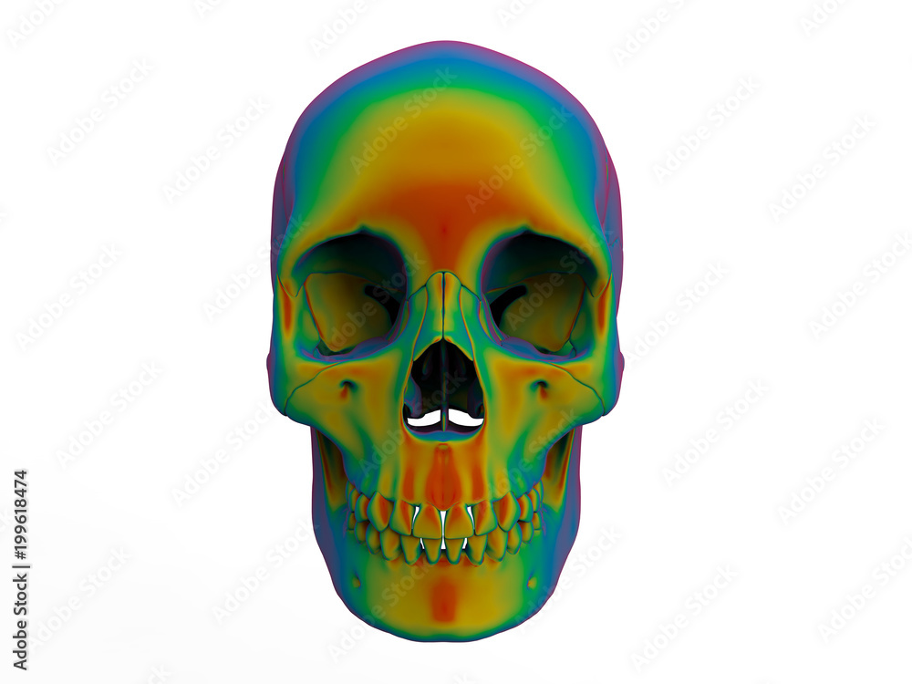 Fototapeta premium 3D illustration - color map on a human skull