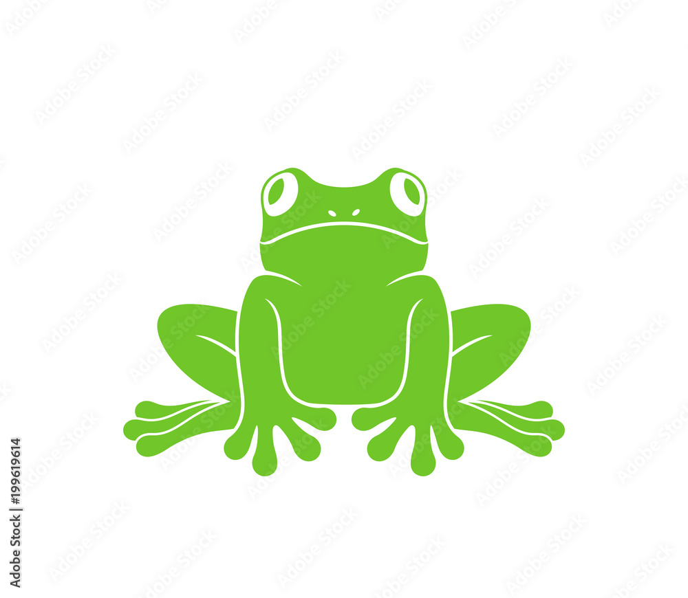 Fototapeta premium Czerwona żaba. Żaba nadrzewna. Na białym tle żaba na białym tle