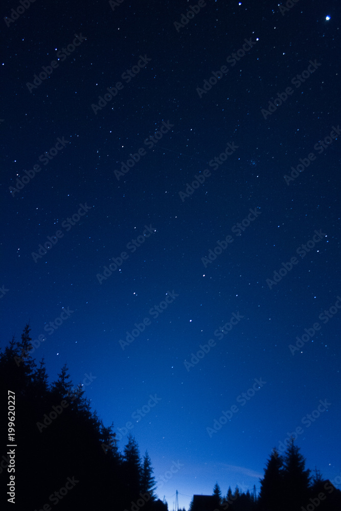 Dawn with stars and tree / countryside silhouettes. Dawn with stars and tree / countryside silhouettes.