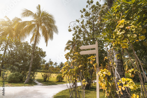 Wide-angle view of the resort footway surrounded by palms, lawns, and other trees, with a blank wooden dual waymark mock-up on the right, for your text message; bright beautiful summer day photo
