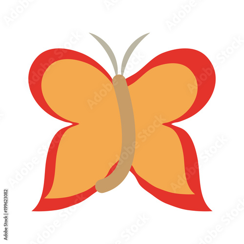 Butterfly cartoon isolated vector illustration graphic design