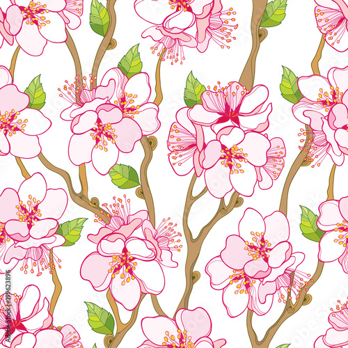 Vector seamless pattern with outline blooming Apricot flower bunch, branch and green leaves on the white background. Blossom of pastel Apricot flowers in contour style for elegance spring design.