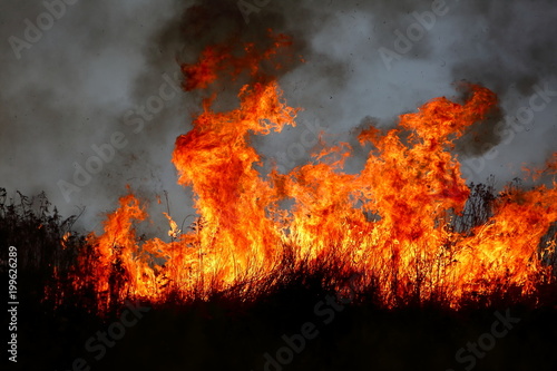 The fire of large areas of dry grass in the meadow can turn into a terrible tragedy as if it got close to residential houses. © fotodrobik