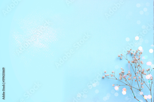 Baby blue background with small white flowers and bokeh, with copy space