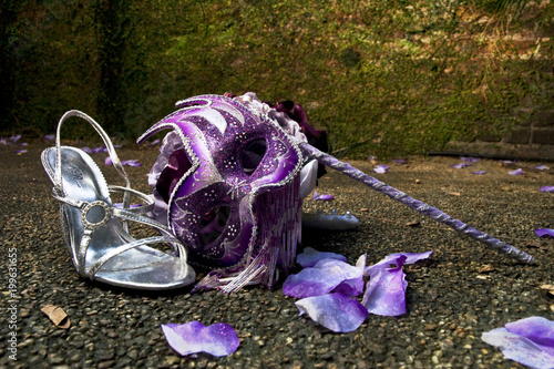mardi gras mask