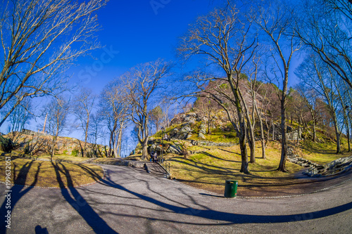 Gorgeous outdoor view in the park in Alesund, Norway photo