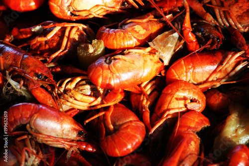crawfish