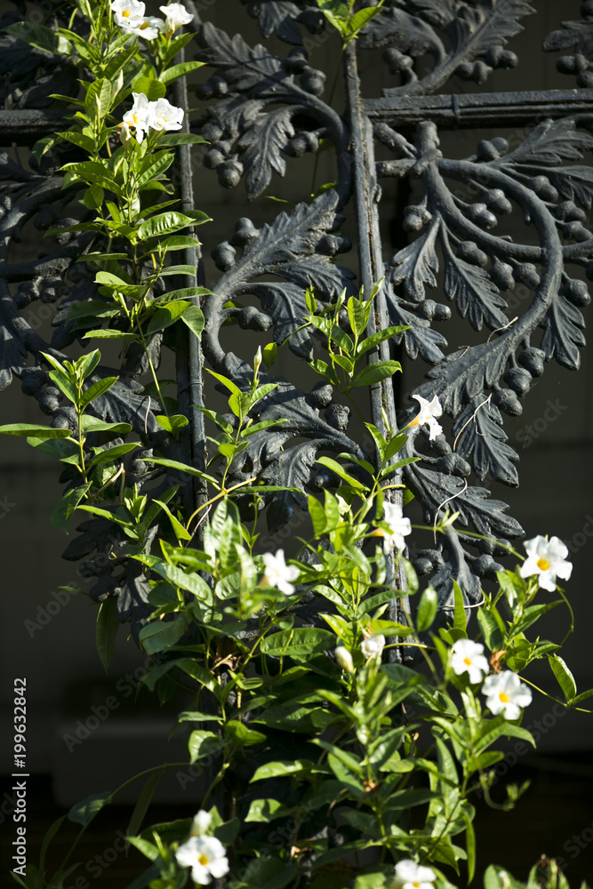 wrought iron french quarter balcony wrought iron french quarter balcony