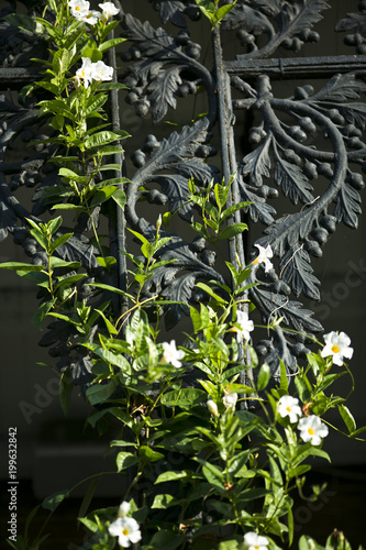 wrought iron french quarter balcony
