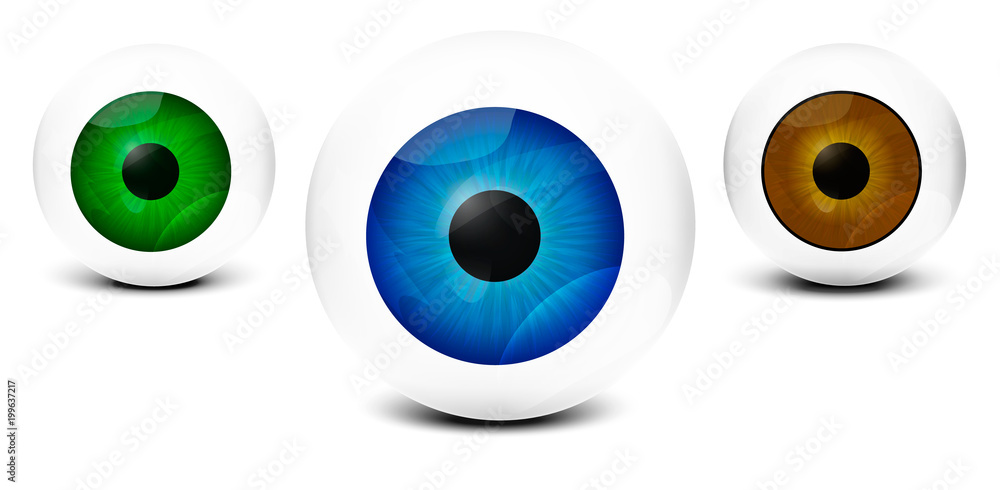 realistic human eyes, on white background with different colors. vector image -eps 10