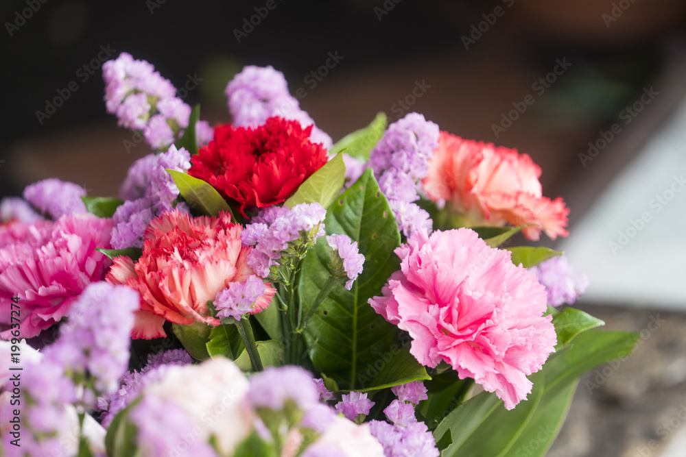 Fresh colorful flowers