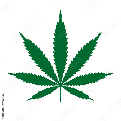Marijuana or cannabis leaf Icon Vector Logo Template. Isolated illustration on white background.