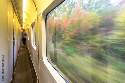 View from the window of a moving train with flowery landscape.