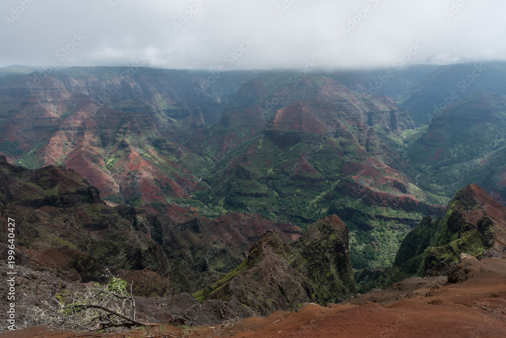 Fototapeta premium Waimea Canyon on Kauai, Hawaii, in winter after a major rainstorm