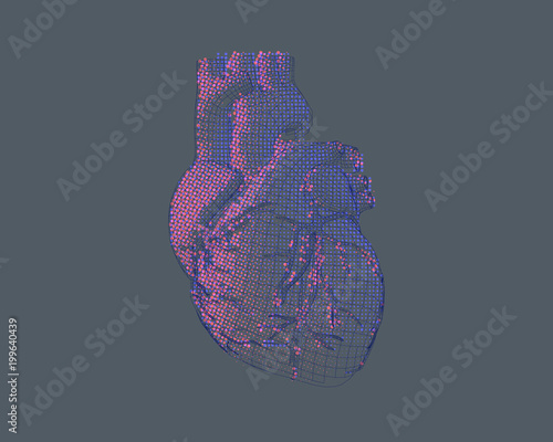 Stylized wireframe human heart illustration