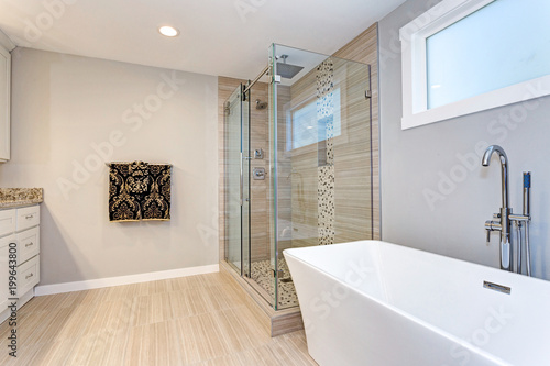 Light modern bathroom design with walk in shower