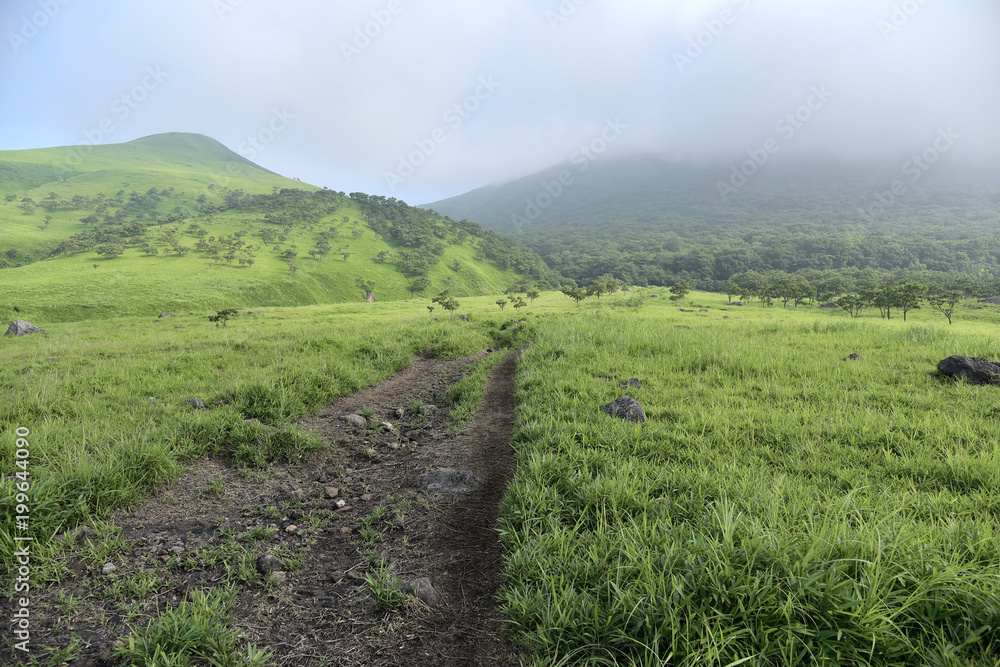 Fototapeta premium 由布岳の登山口