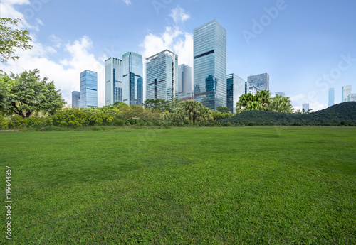 Fototapeta Naklejka Na Ścianę i Meble -  The grass and the city in Shenzhen, China.