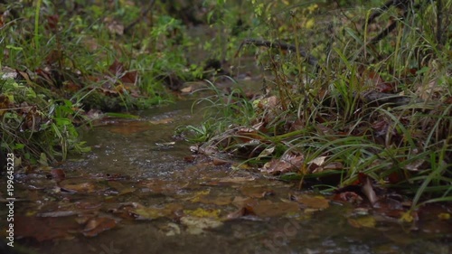 small mountain creek photo