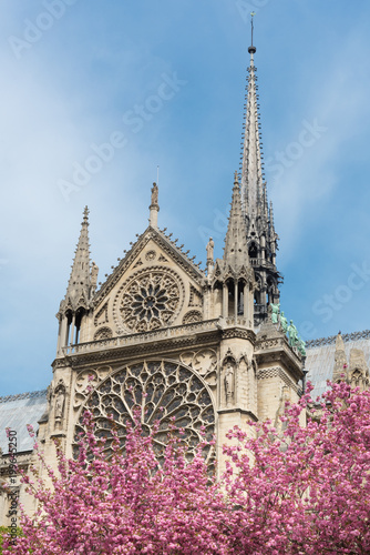 Cathedral Notre-Dame de Paris France