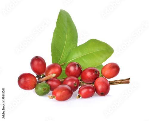 coffee beans on white background.