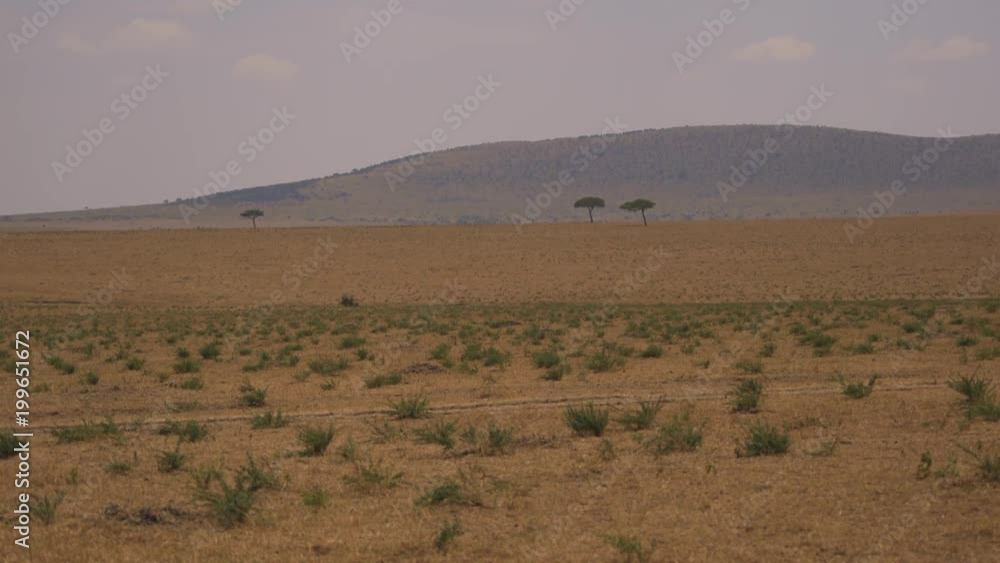 Masai Mara savannah on a cloudy day Masai Mara savannah on a cloudy day