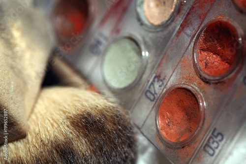 Make-up Art Cosmetics Paint Brush Tools