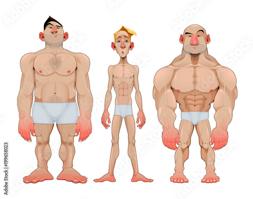 Three types of caricatural male anatomies