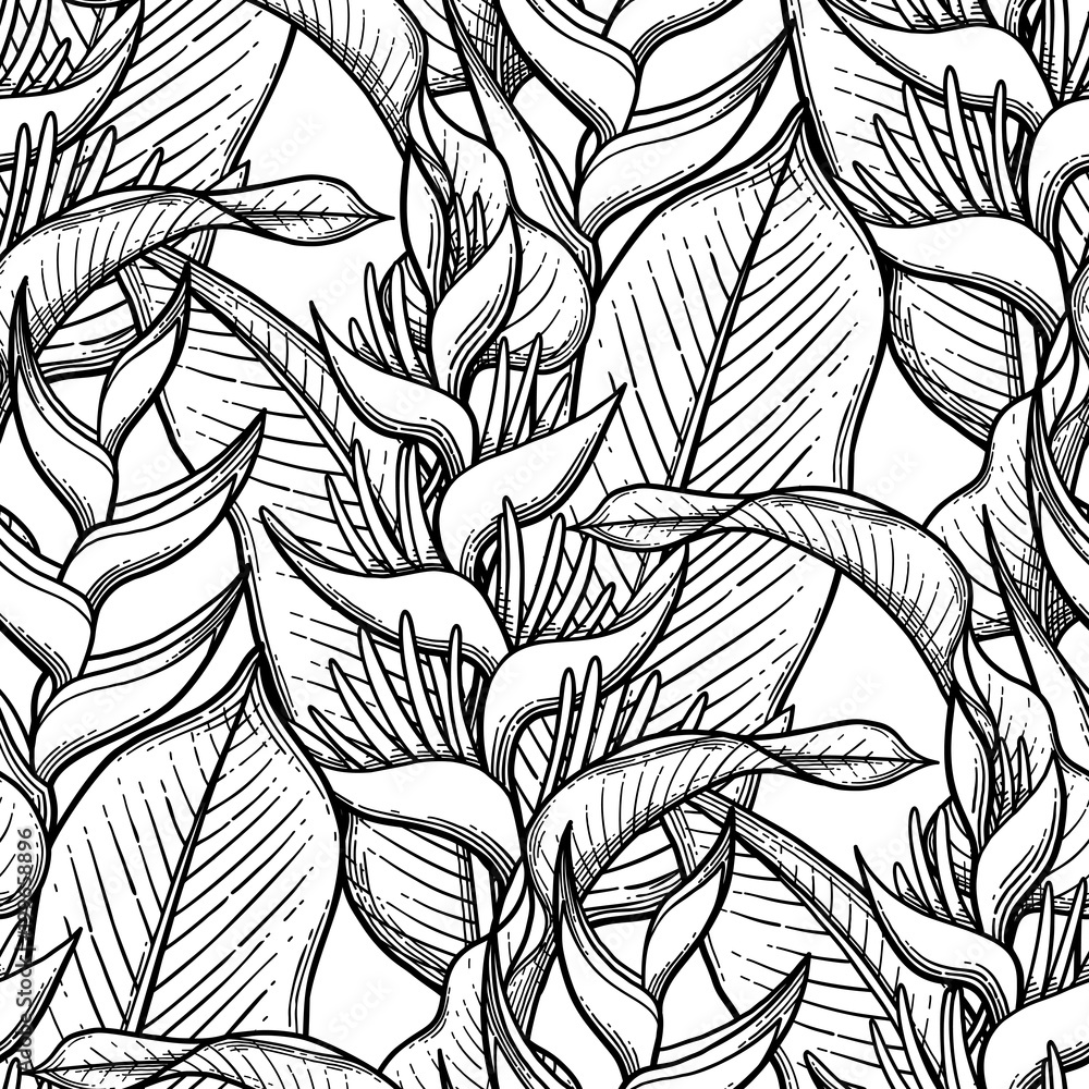 Graphic heliconia pattern Graphic heliconia pattern