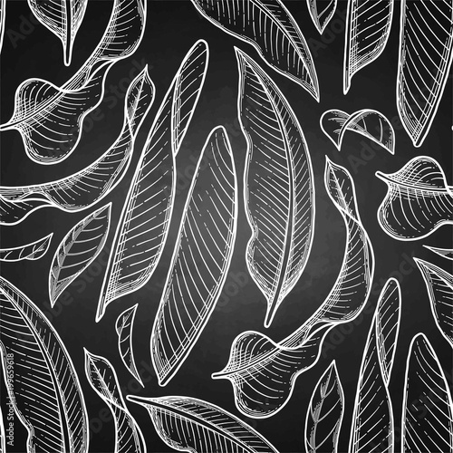 Graphic heliconia pattern
